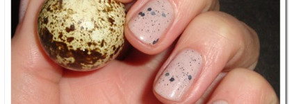 EL Corazon Active Bio-gel №423/91 Милые яйца диких птичек