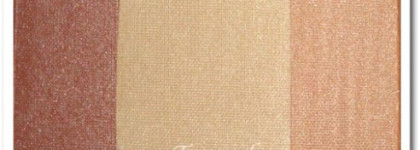 Бронзер-хайлайтер Inglot AMC Multicolour System Highlighting Powder № 86