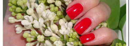 Лак для ногтей Vipera cosmetics FocusOn № 914