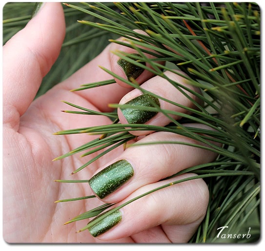 El Corazon Active Bio-gel Color Gel Polish Gemstones: Emerald №423/468