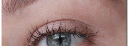 Тени для бровей Catrice eyebrow set 010