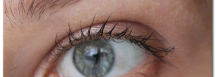 Тени для бровей Catrice eyebrow set 010