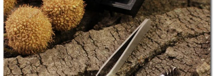 Тени для бровей Catrice eyebrow set 010