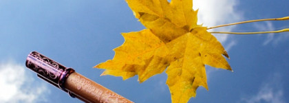 Деликатное золото на губах . El Corazon Glamour Shine Lip Gloss № SH 64