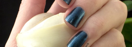 EL Corazon Ночные грезы № nd-12 Рыбы