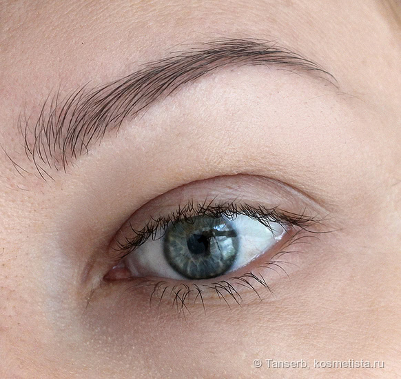Бюджетная помада для бровей Topface Instyle Eyebrow Gel #03