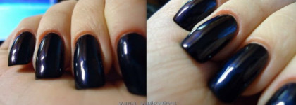 Golden Rose Paris #107