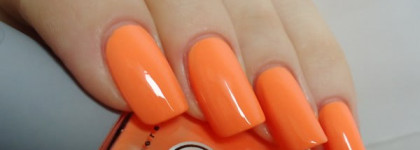 Dance Legend Neonic 818 Best Vacations