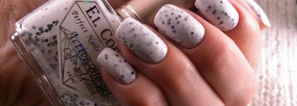 El Corazon "Eggs of wild birds" №423/96