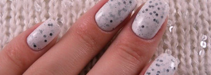 El Corazon "Eggs of wild birds" №423/96