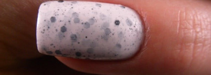 El Corazon "Eggs of wild birds" №423/96