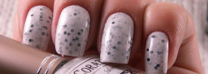 El Corazon "Eggs of wild birds" №423/96