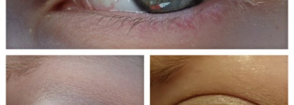 Два нюда и медь: Catrice Absolute Eye Colour Mono в оттенках #340, #090, #070