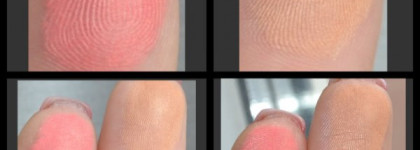 Летний урожай 2013 года от Dior коллекция "Райская птичка"