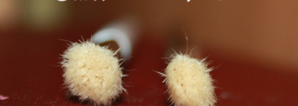 Достойный аналог кисти MAC 217 за смешные деньги: Era minerals Blending Brush 356N