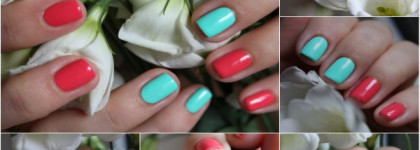 Мое знакомство с Kiko