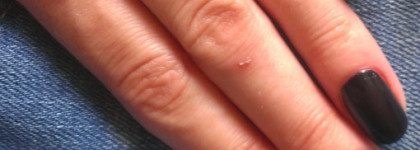 Синее небо, черничные ночи