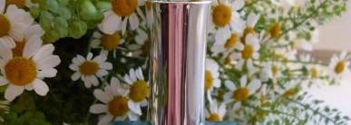 Когда в сердце весна