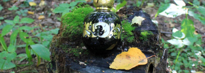 Зачарованный лес Enchanted Forest edt The Vagabond Prince