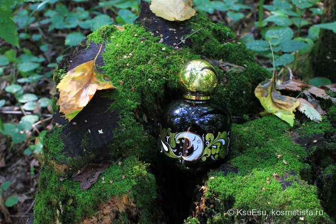 Зачарованный лес Enchanted Forest edt The Vagabond Prince