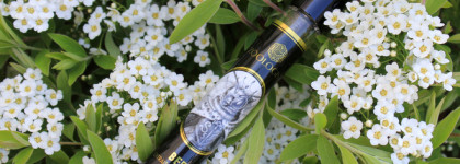 Bee Zoologist для международного дня пчёл