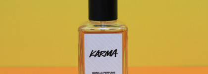 Такие разные цитрусы: лайм, лимон, грейпфрут, бергамот, апельсин