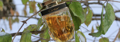 Моя парфюмерная осень 2022