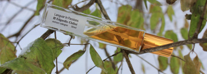 Моя парфюмерная осень 2022