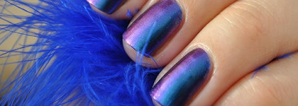 Boggs 091 Chameleon collection Dance Legend