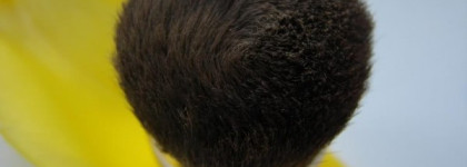 Минеральная рассыпчатая пудра Clarins The Skin Illusions Mineral & Plant Extracts Loose Powder Foundation 107 beige