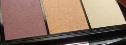 Тени Shiseido Luminizing Satin Eye Color Trio RD 299 ( Beach Grass)