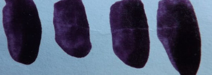 Colorama Maybelline New York №16, №104, №155