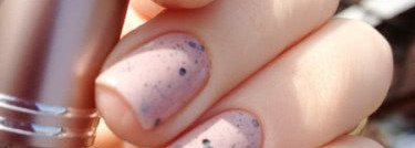 El Corazon - Bio-gel 423/91 Eggs of Wild Birds