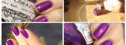 El Corazon - Magis Attraction 423/554