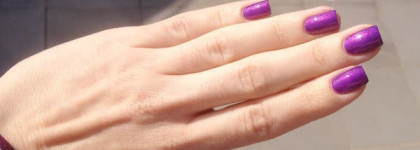 El Corazon - Magis Attraction 423/554