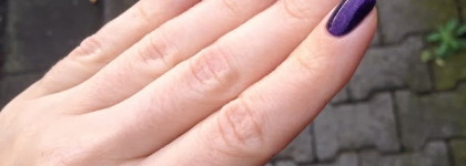 El Corazon - Magic oriental night 423/578