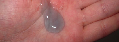 Мой уход за волосами. Борьба с сухими кончиками