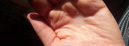 TonyMoly Wonder Ceramide Mocchi Toner