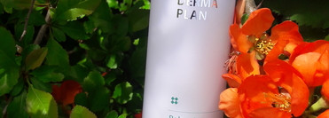 The Saem Derma Plan Balancing Moisturizer
