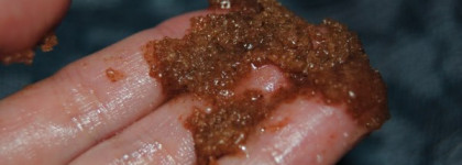 Мои отличные помощники в уходе за телом