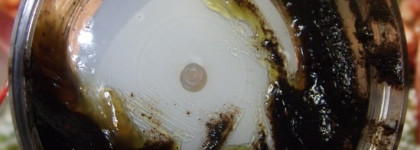 Спивакъ: всё, что я о нём думаю