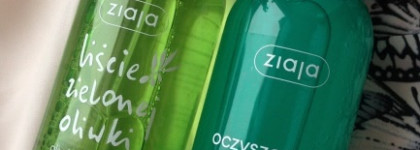 Отличник и хорошист от Ziaja