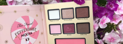 Too Faced Peppermint Mocha палетка теней и румян