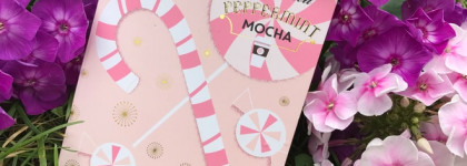 Too Faced Peppermint Mocha палетка теней и румян