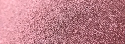 Белорусские тени Relouis Pro Limited Edition в оттенке 06 Berry Jam