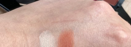 Палетка теней от Wet N Wild Rose in the Air Color icon eyeshadow 10-pan palette Air Е758