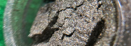 Тени Tammy Tanuka sigil Inspired в оттенке Нумизмат