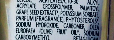 Виноградный побег в лето