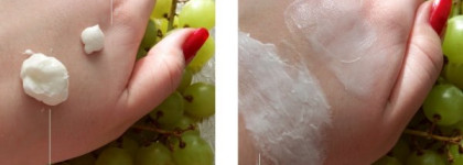 Виноградный побег в лето