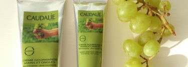 Виноградный побег в лето